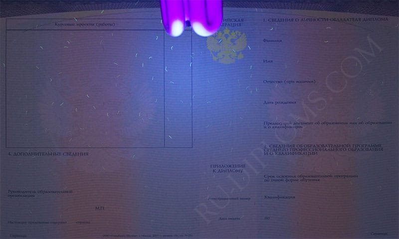 Диплом техникума или колледжа 2014-2026 НОВОГО ОБРАЗЦА 